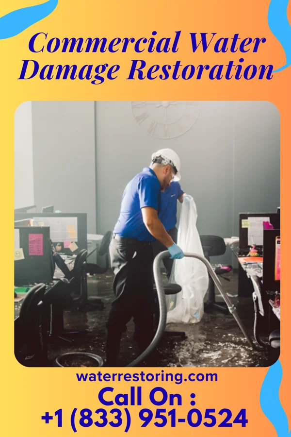 Commercial Water Damage Restoration in Burbank, IL