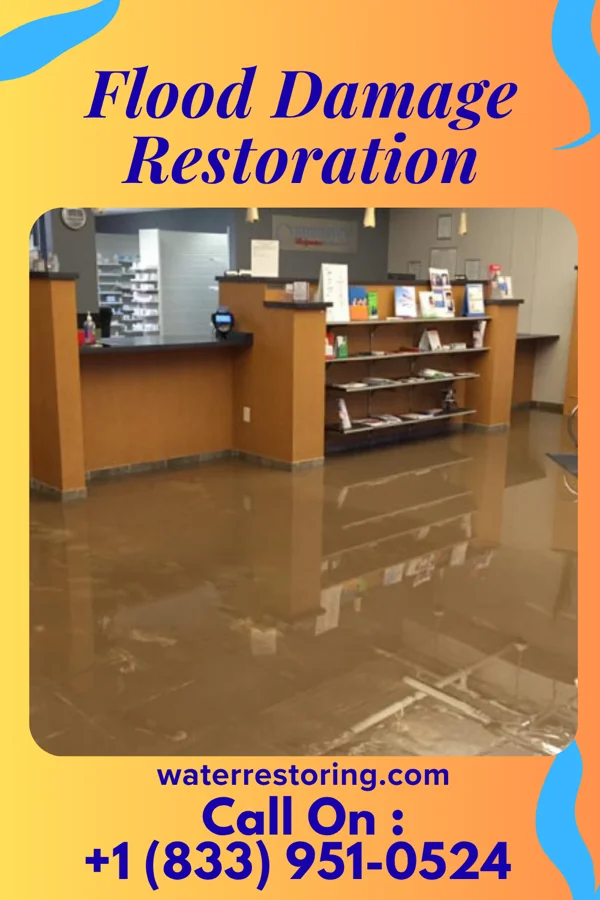 Flood Damage Restoration in Burbank, IL
