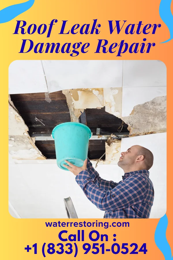 Roof Leak Water Damage Repair in Burbank, IL
